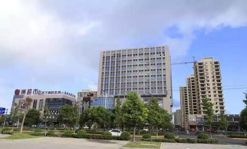 海鹽錦繡商業(yè)中心 售樓信息全解析與電子商務(wù)技術(shù)服務(wù)融合展望