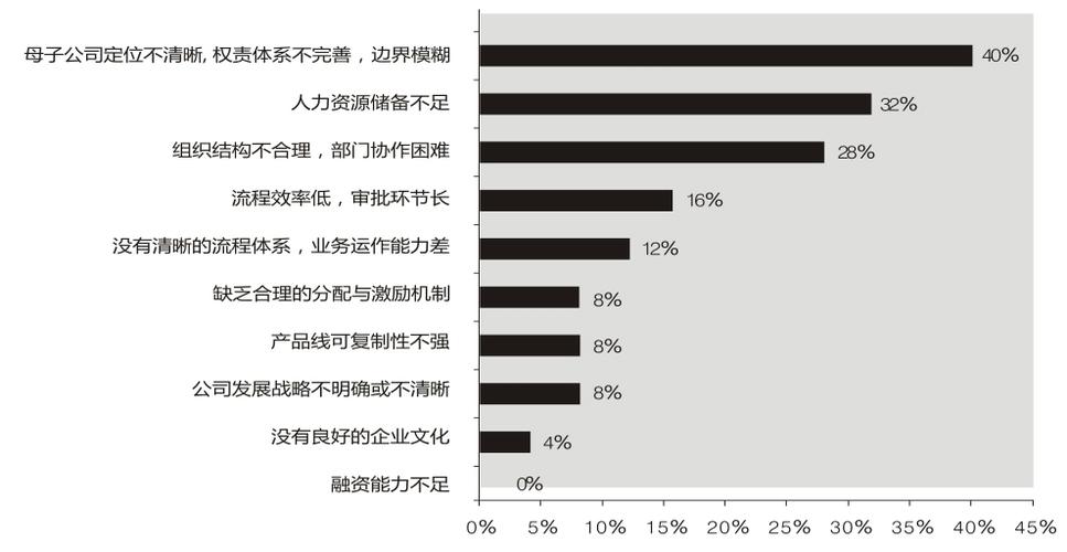 咨詢服務 相關案例 jrj上市公司組織管控管理咨詢案例該企業經過多年