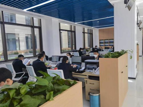 棗莊奮發有為 項目建設巡禮丨山亭篇