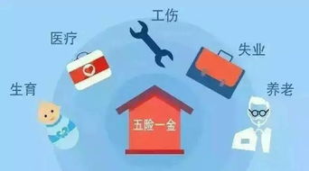 誰做的這本深圳通訊錄,太牛了 有了它走遍深圳都不怕
