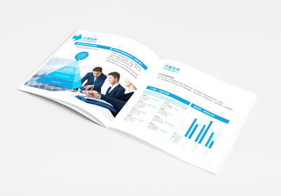 上海IDB企業管理咨詢宣傳冊設計