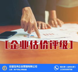 安徽寶鴻企業管理 圖 企業估價評級哪家好 浙江企業估價評級