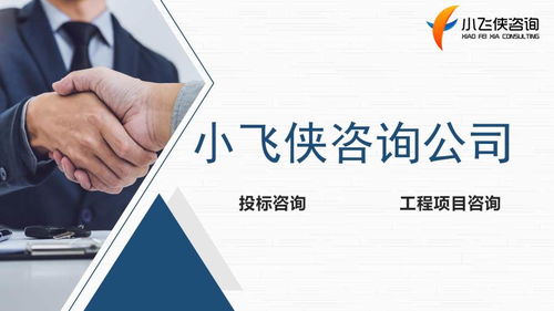 樂山編寫標(biāo)書,樂山電子標(biāo)制作