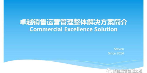 卓越業(yè)務運營管理培訓 咨詢 軟件服務