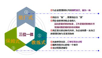 淺談為什么管理咨詢在企業(yè)不能落地
