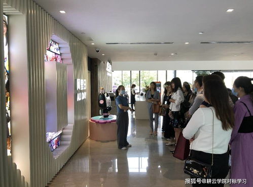廣州某企業管理咨詢公司對標阿里巴巴,學習如何打造一支銷售鐵軍