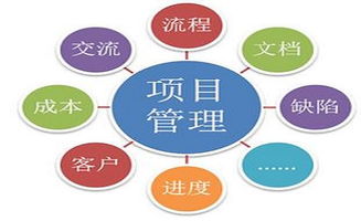 管理咨詢的分類