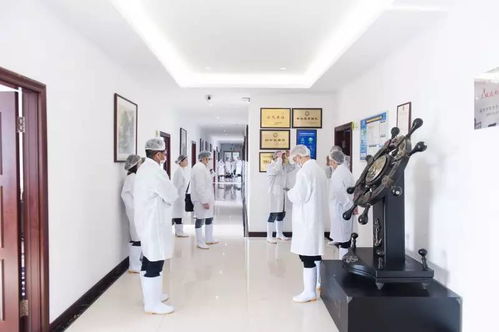 溫州39所學(xué)校每天1萬多份師生午餐是這么做出來的 家長看完之后 三分鐘新聞