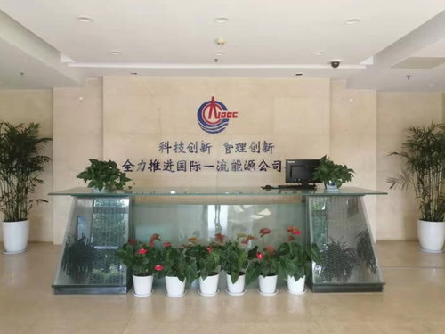 青島cnas認證機構(gòu) 中實國聯(lián) cnas認證