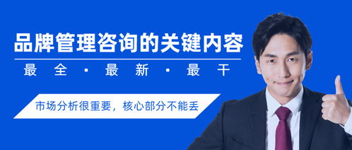 品牌管理咨詢的關鍵內容,目標市場分析很重要,核心部分不能丟